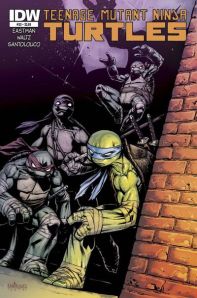 "Teenage Mutant Ninja Turtles" #33 from IDW. Cover art by Mateus Santolouco.